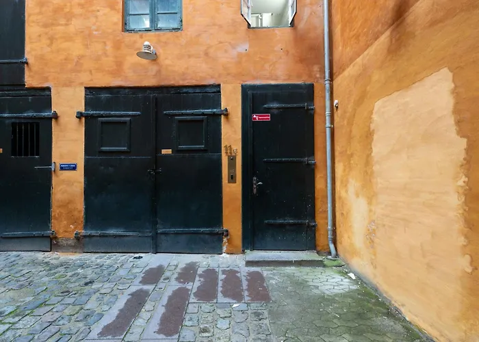 Charismatic s In Copenhagen Old Town